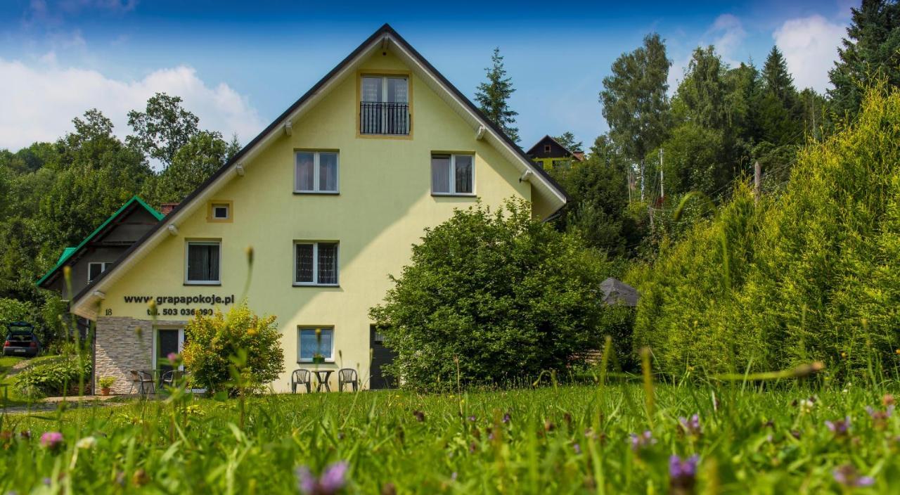 Apartamenty Grapa Szum Rzeki Parking Free Visla Exteriér fotografie