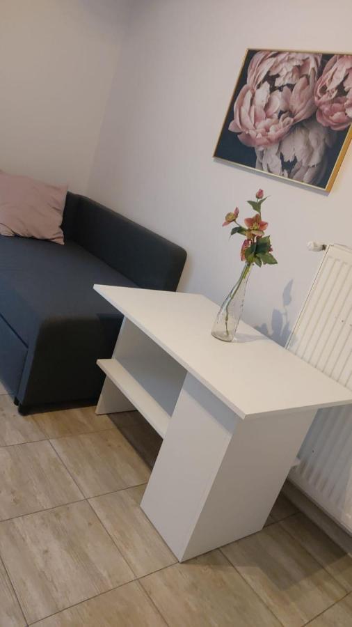 Apartamenty Grapa Szum Rzeki Parking Free Visla Exteriér fotografie