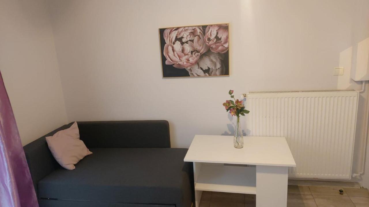 Apartamenty Grapa Szum Rzeki Parking Free Visla Exteriér fotografie