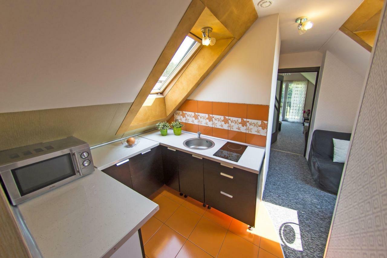 Apartamenty Grapa Szum Rzeki Parking Free Visla Exteriér fotografie