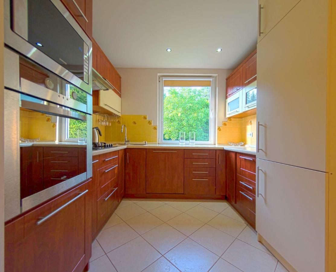 Apartamenty Grapa Szum Rzeki Parking Free Visla Exteriér fotografie